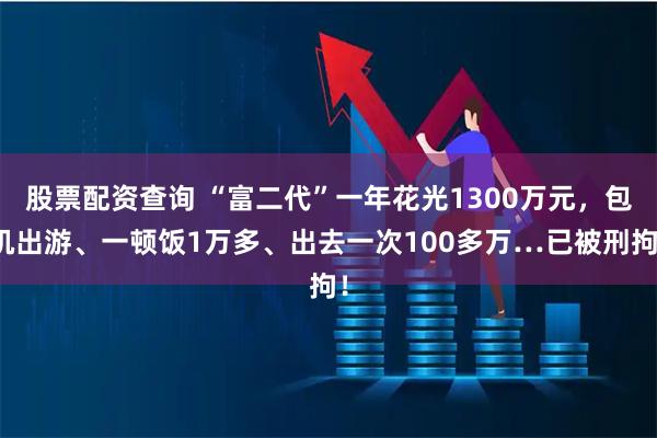 股票配资查询 “富二代”一年花光1300万元，包机出游、一顿饭1万多、出去一次100多万…已被刑拘！