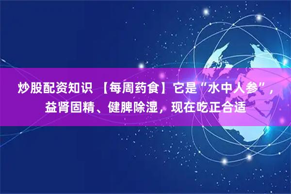 炒股配资知识 【每周药食】它是“水中人参”，益肾固精、健脾除湿，现在吃正合适