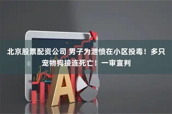 北京股票配资公司 男子为泄愤在小区投毒！多只宠物狗接连死亡！一审宣判